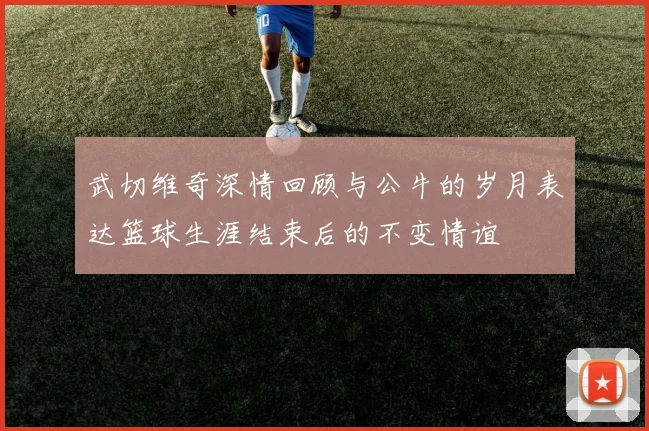 武切维奇深情回顾与公牛的岁月表达篮球生涯结束后的不变情谊