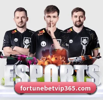 公司成立